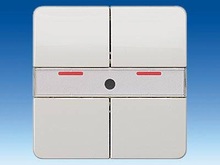 Клавиша двойная UP 234 + ИК приемник - Техника автоматики зданий EIB