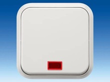 Switch with Pilot Lamp for Two-Way Switching, with Window - Switches and Pushbuttons