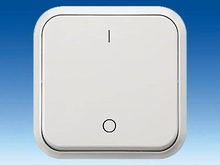 ON/OFF Switch, 2-pole, with I/O Symbols - Switches and Pushbuttons