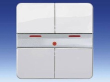 Клавиша двойная UP 243 - Техника автоматики зданий EIB